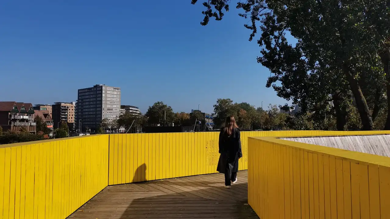 杨淑帆头像
