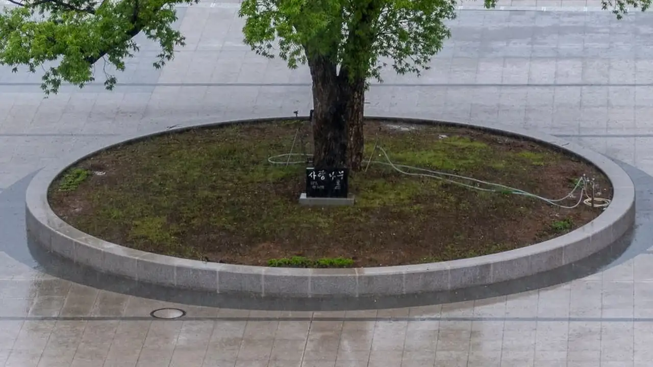关于黄色视频App下载的安装流程与安全设置指南