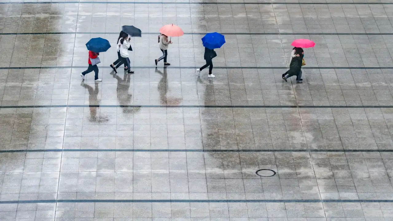 9·1免费版安装网站怎么选及下载流程